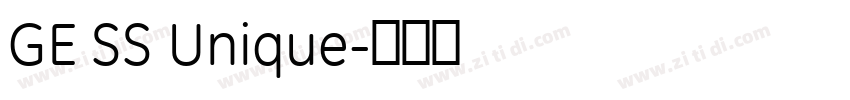 GE SS Unique字体转换